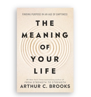 The Meaning of Your Life