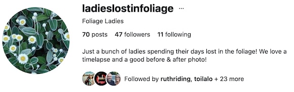 Ladies Lost in Foliage
